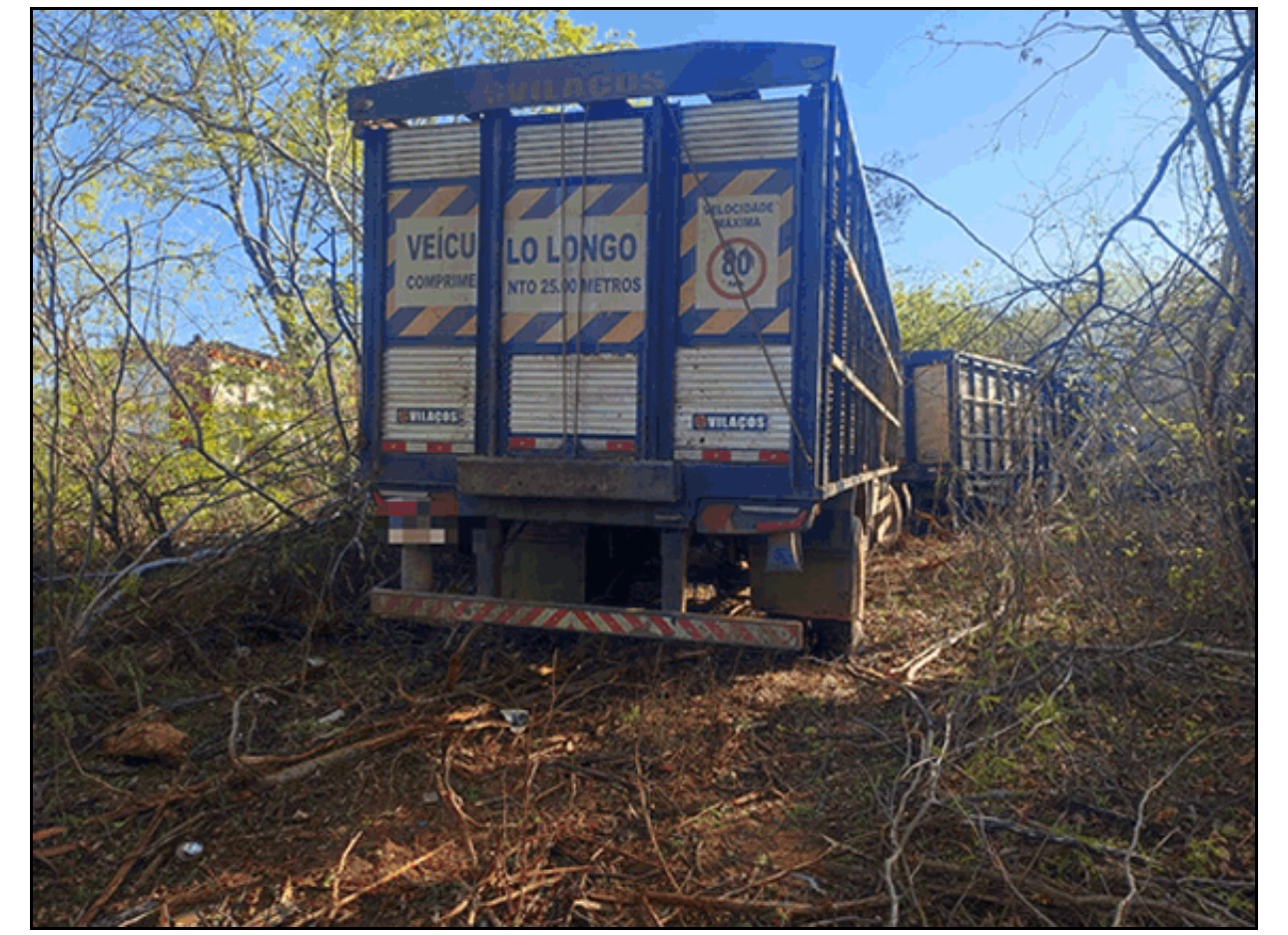 Caminhão boiadeiro pega fogo após sair da pista e bater em árvores na MGC-122 — foto 2