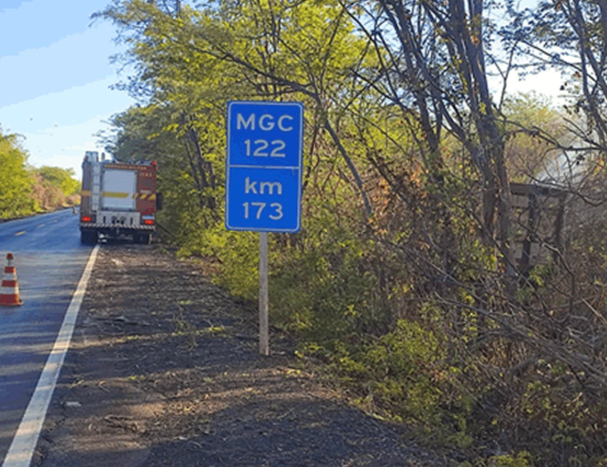 Caminhão boiadeiro pega fogo após sair da pista e bater em árvores na MGC-122 — foto 3