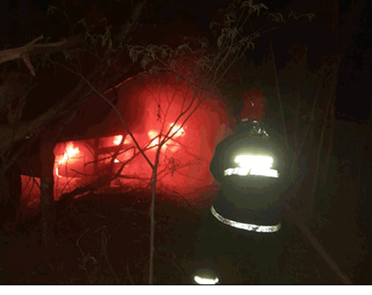 Caminhão boiadeiro pega fogo após sair da pista e bater em árvores na MGC-122 — foto 4