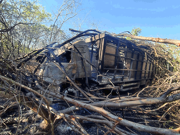 Caminhão boiadeiro pega fogo após sair da pista e bater em árvores na MGC-122