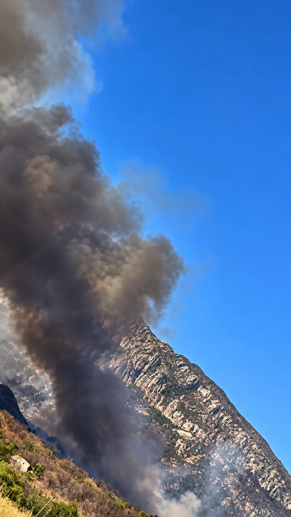 Incêndio florestal de grandes proporções atinge área de difícil acesso na Serra Geral — foto 2