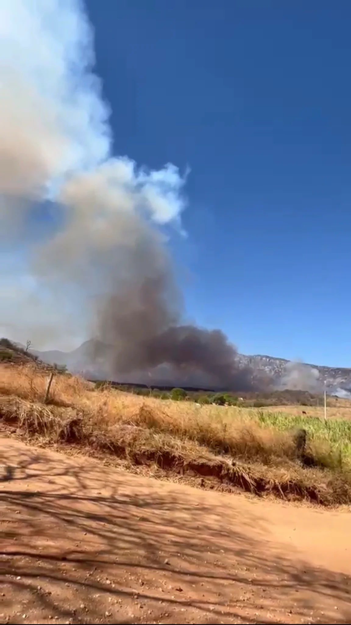 Incêndio florestal de grandes proporções atinge área de difícil acesso na Serra Geral — foto 4